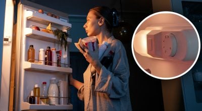 Проста помилка прискорює псування їжі - як правильно налаштувати холодильник Проста помилка прискорює псування їжі - як правильно налаштувати холодильник