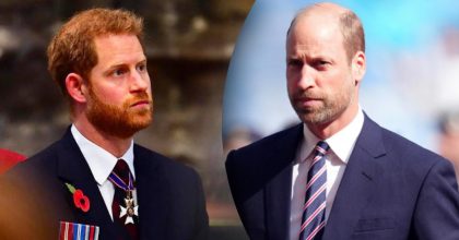 Уильям никогда: кого принцесса Диана готовила для королевского престола