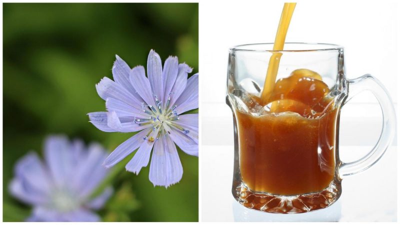 Як удома легко приготувати квас із цикорію: дуже простий і швидкий рецепт