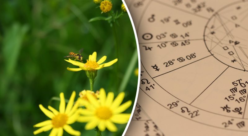 Гороскоп на тиждень з 18 по 24 серпня: Близнюкам - самотність, Ракам - зміни