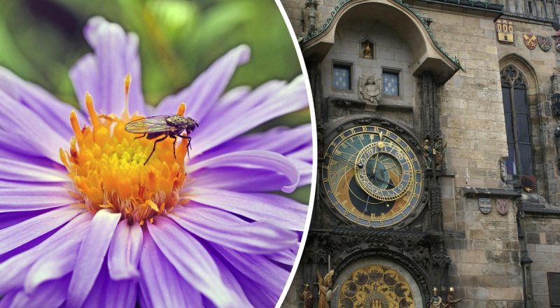 Финансовый гороскоп на неделю с 18 по 24 августа