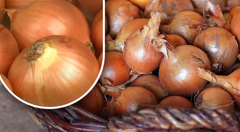 Как сохранить лук, чтобы он не пророс до лета: огородница раскрыла простой способ