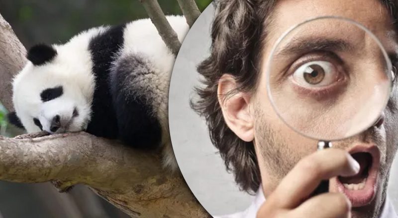 Тест на гострий зір: лише геній знайде три відмінності на зображенні