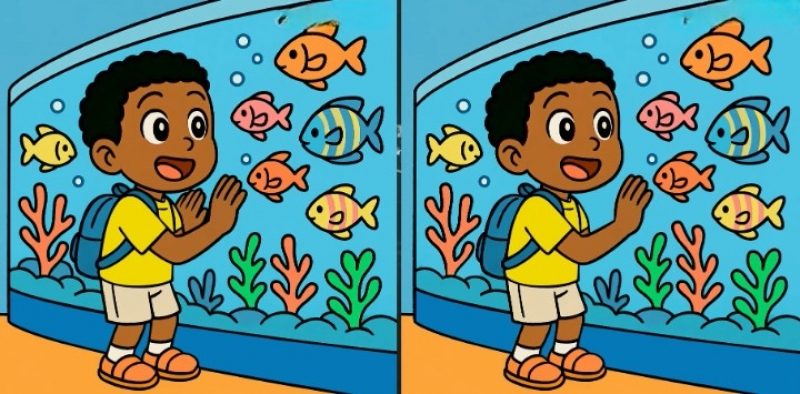 Де три відмінності між хлопчиками, які дивляться на акваріум: складна загадка