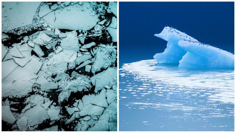 Сотні міст можуть опинитися під водою: гігантський льодовик на межі колапсу