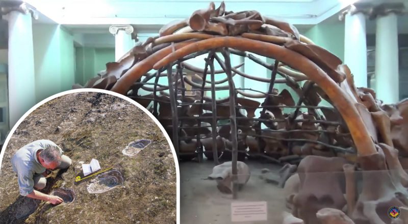 Світова сенсація: як унікальна знахідка на Рівненщині змінила історію світу