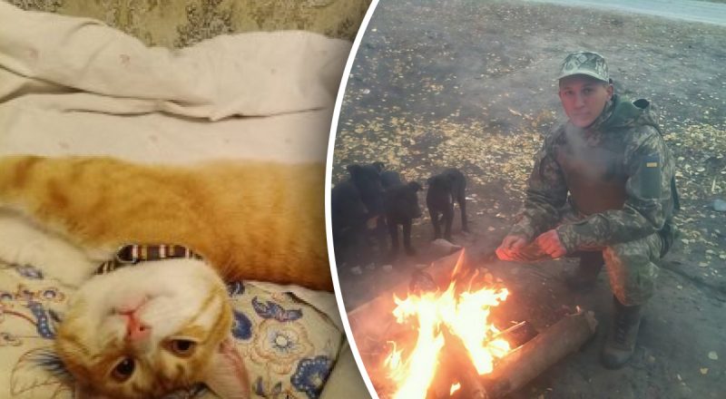 Кот был в колонии 4,5 года: военный вернулся из плена РФ вместе с домашним любимцем