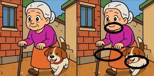головоломка головоломка