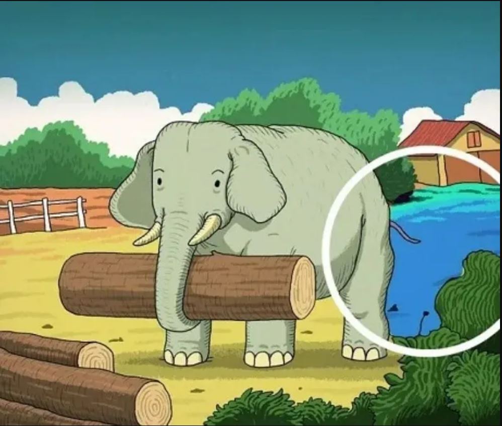 Интересная головоломка на внимательность - разгадка