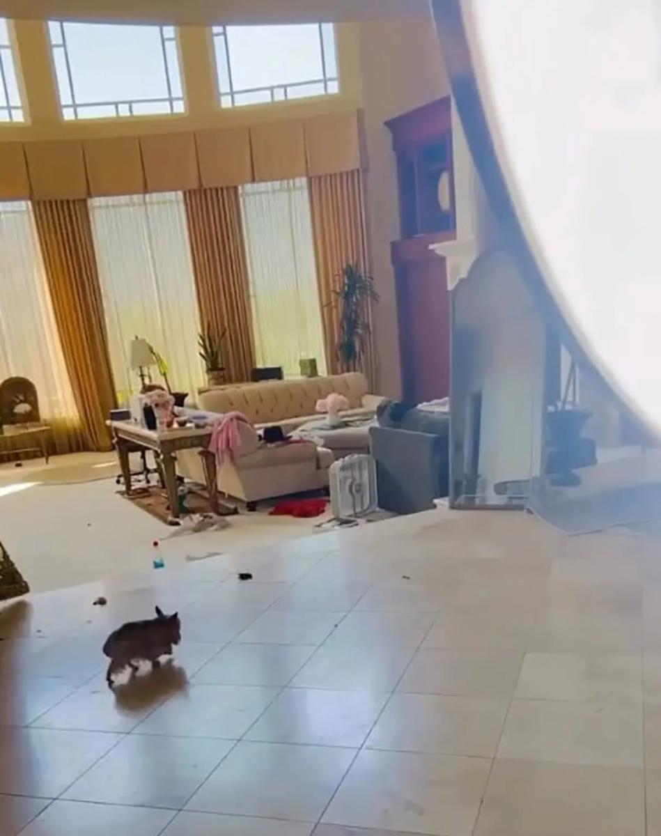 Брітні Спірс здивувала новим відео Брітні Спірс здивувала новим відео