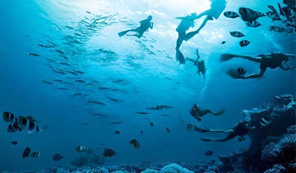 Загадка Загадка