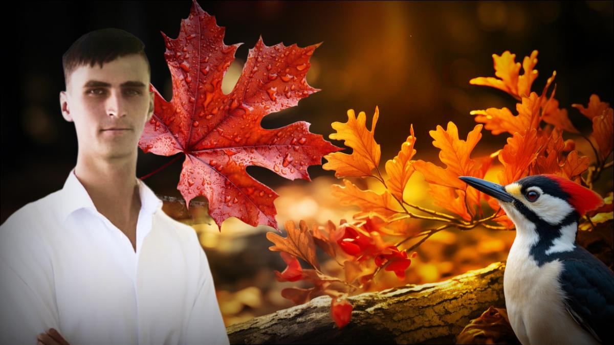 Погода на октябрь 2025 прогноз Погода на октябрь 2025 прогноз