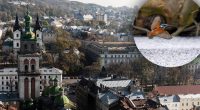 Його поява не випадкова: в одному з міст України помітили рідкісного птаха
