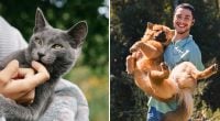 Собаки з котячим характером: список порід для любителів мурчиків