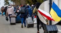 Новые правила для украинцев в Польше: что нужно сделать, чтобы не потерять статус