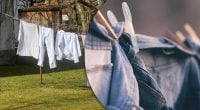 Як висушити одяг без опалення: геніальний фокус здивує своєю простотою