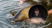 Рибалка з Київщини впіймав коропа-гіганта вагою майже 31 кг: дивовижні кадри