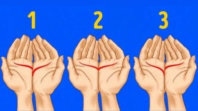 Які ваші приховані таланти: про все розповість лінія серця на долоні Які ваші приховані таланти: про все розповість лінія серця на долоні