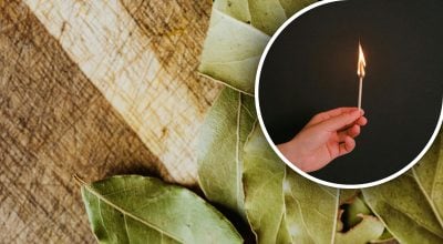 лавровый лист, спички лавровый лист, спички