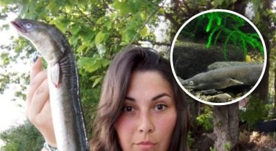 Великого вугра, вагою 1,2 кг спіймала Юліана Рудик Великого вугра, вагою 1,2 кг спіймала Юліана Рудик