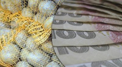 картошка, деньги