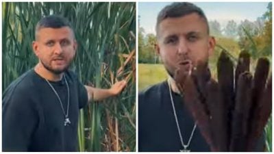 Скріншот Скріншот