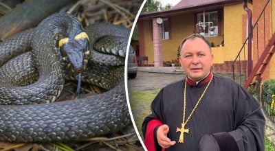 Чи правда, що на Воздвиження ховаються змії - священник розставив крапки над 'і' Чи правда, що на Воздвиження ховаються змії - священник розставив крапки над 'і'