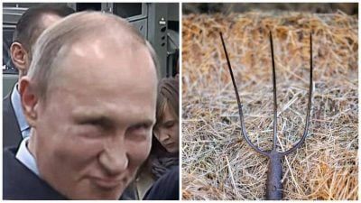 Скріншот Скріншот