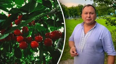 Вишни, священник Алексей Филюк Вишни, священник Алексей Филюк