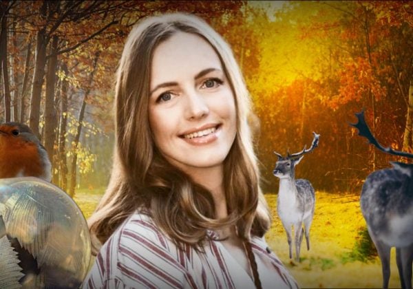 Заморозки та сильні дощі накриють Україну: якою буде погода у жовтні