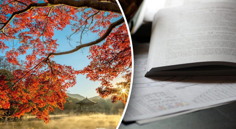 Гороскоп на неделю с 8 по 14 сентября: Ракам - расходы, Львам - испытания