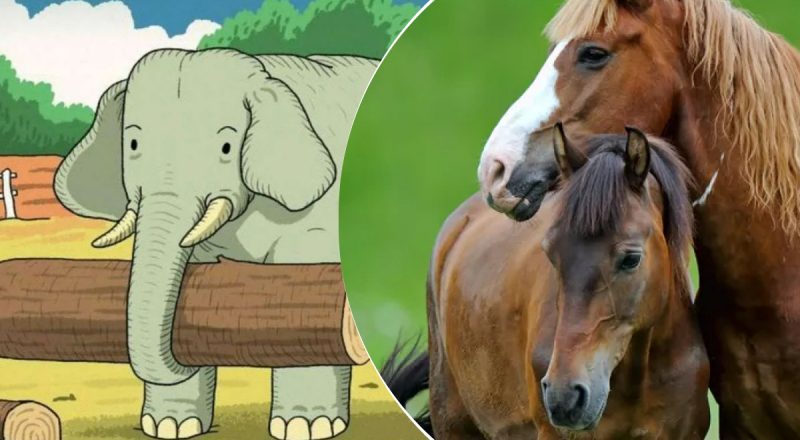 Головоломка для геніїв: знайти захованого коня за 10 секунд зможе не кожен