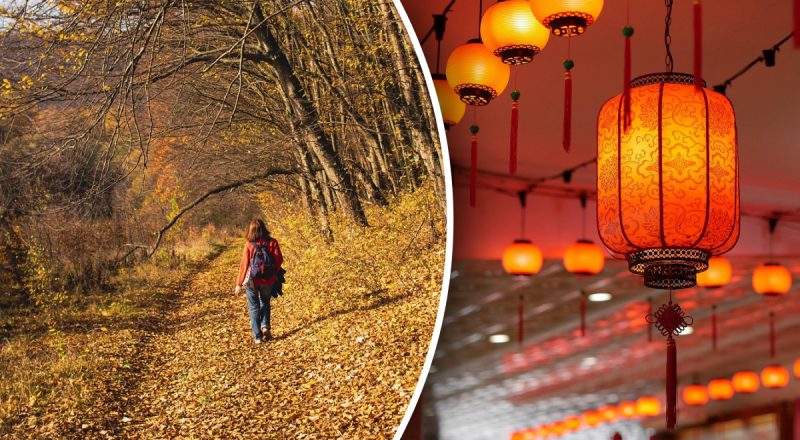 Китайский гороскоп на сегодня 13 сентября: Обезьянам пора действовать, Змеям - тревога