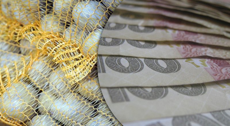 Стоит запастись сейчас: украинцам сказали, когда подорожает базовый продукт