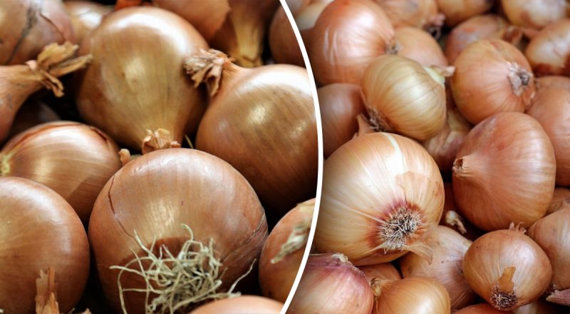 Найгірший сусід: із чим категорично не можна зберігати цибулю