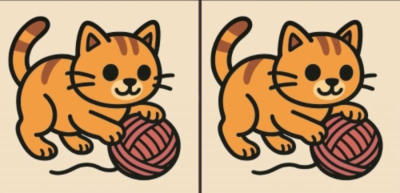 Тест на IQ: найдите 3 отличия на картинке с игривой кошкой за 43 секунды