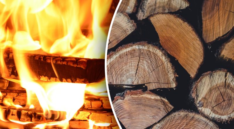 На першому місці не дуб: експерт поділився, якими дровами краще опалювати дім