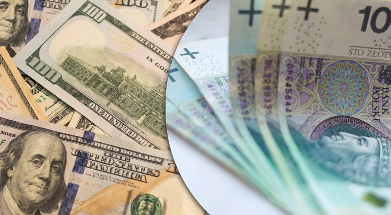 Одна валюта прытко полетела вверх: когда изменится курс доллара, евро и злотого