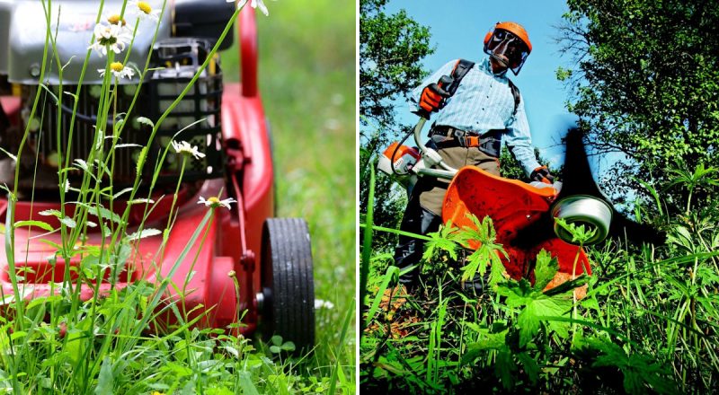 Зимова "сплячка" газонокосарки: чи потрібно зливати бензин