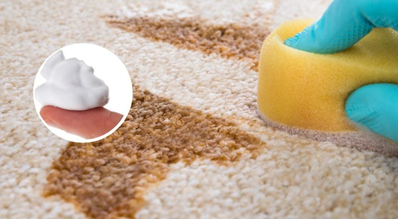 Зникнуть навіть стійкі плями: килим засяє, якщо взяти один незвичайний засіб