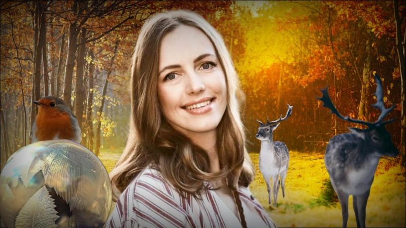 Заморозки та сильні дощі накриють Україну: якою буде погода у жовтні