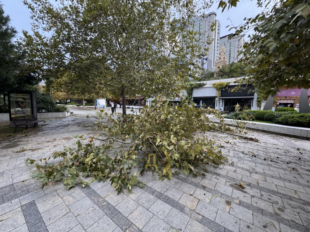 Одеса приходить до тями після удару стихії Одеса приходить до тями після удару стихії