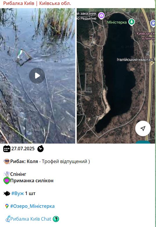 У Києві рибалка витягнув з озера вужа