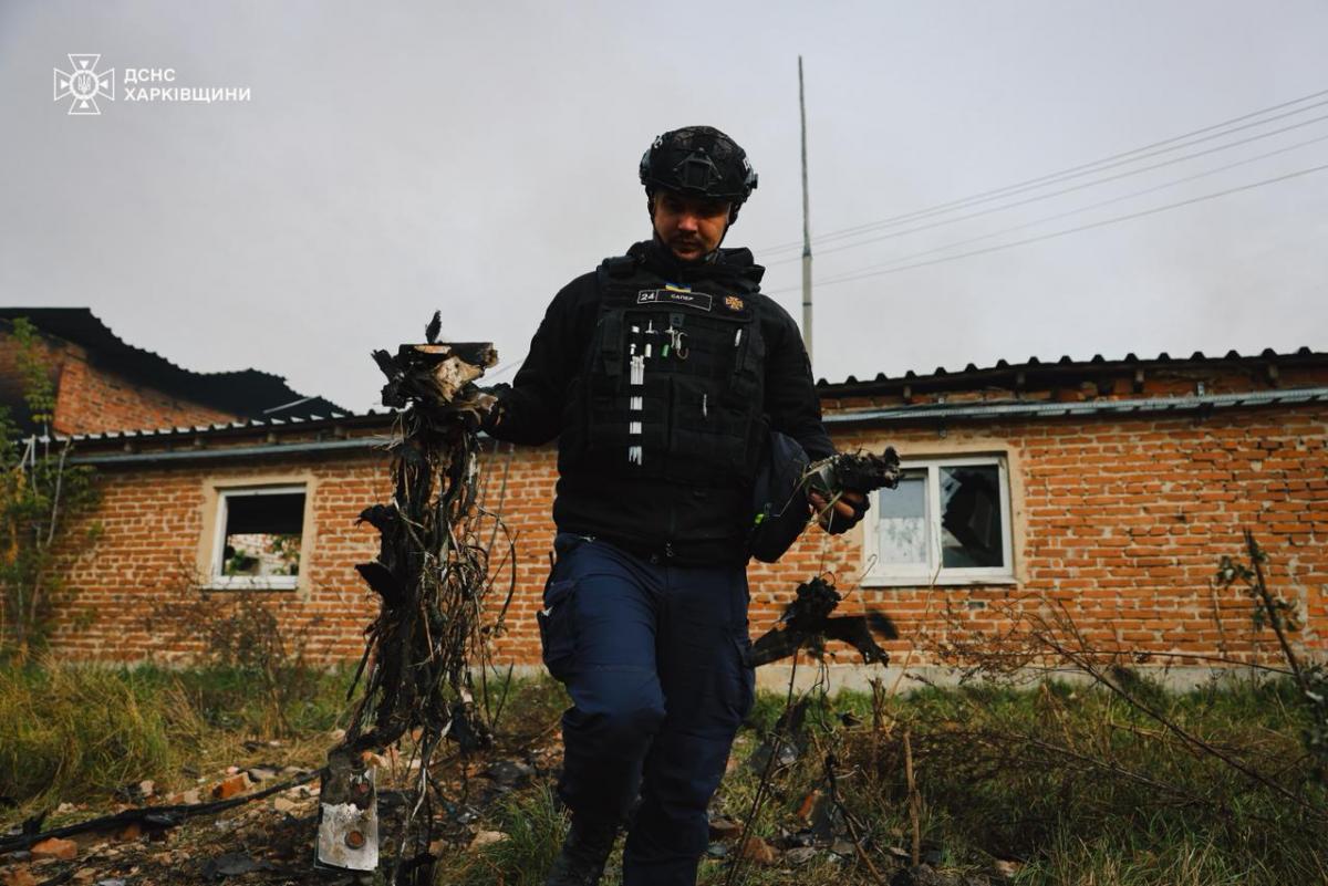 На Харківщині дрон РФ знищив 13 тисяч свиней На Харківщині дрон РФ знищив 13 тисяч свиней