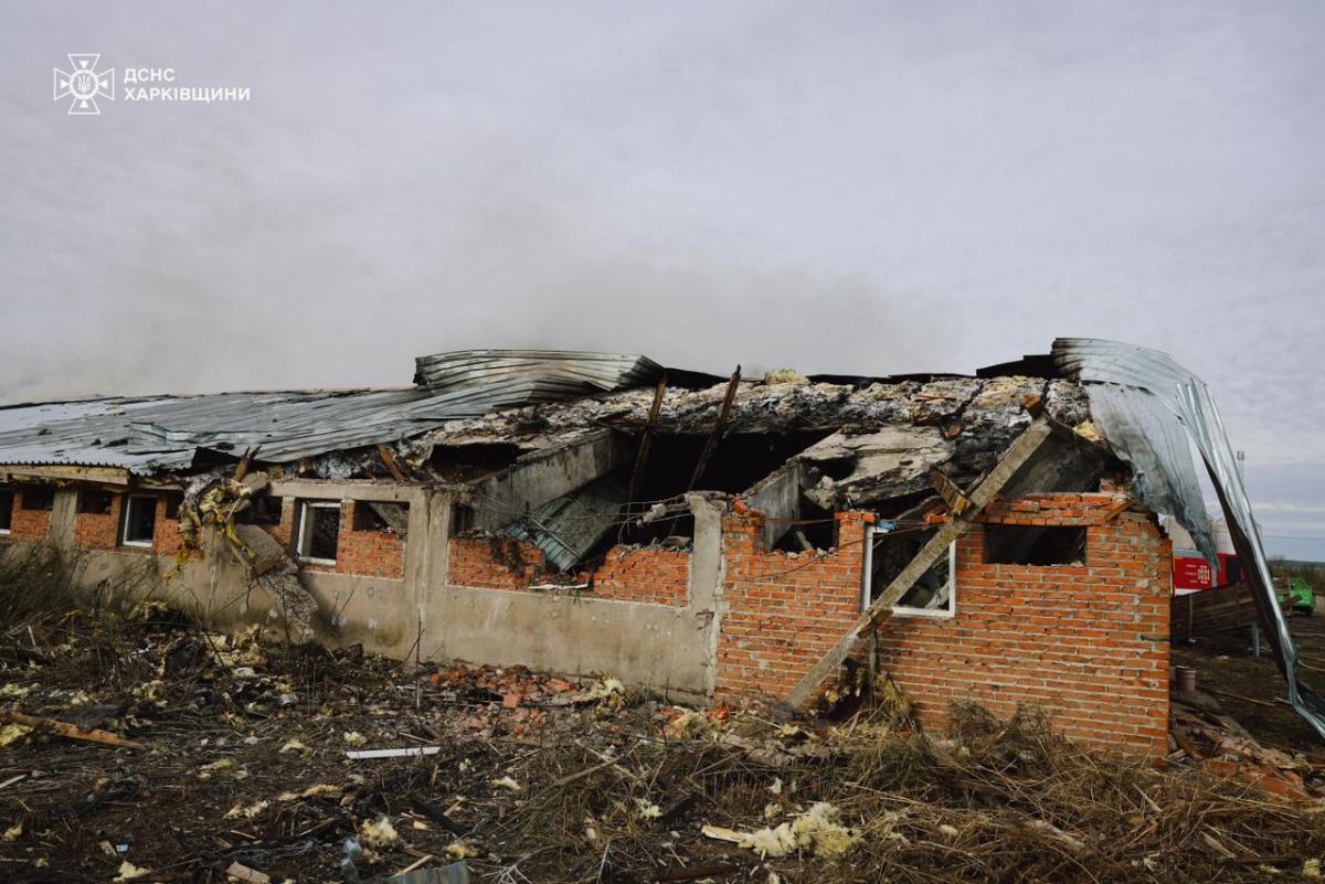 На Харківщині дрон РФ знищив 13 тисяч свиней На Харківщині дрон РФ знищив 13 тисяч свиней