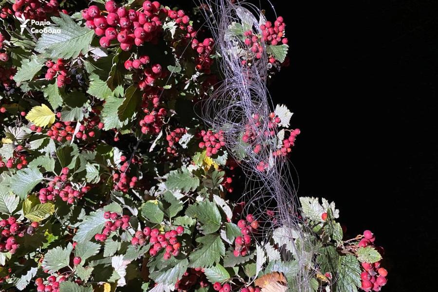 Краматорськ атакував дрон на оптоволокні Краматорськ атакував дрон на оптоволокні