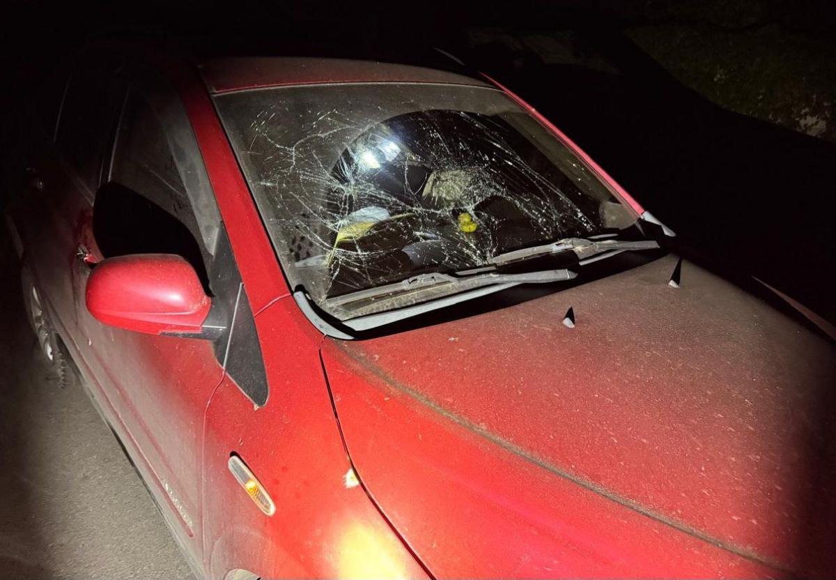 Атака РФ на Нікопольщину