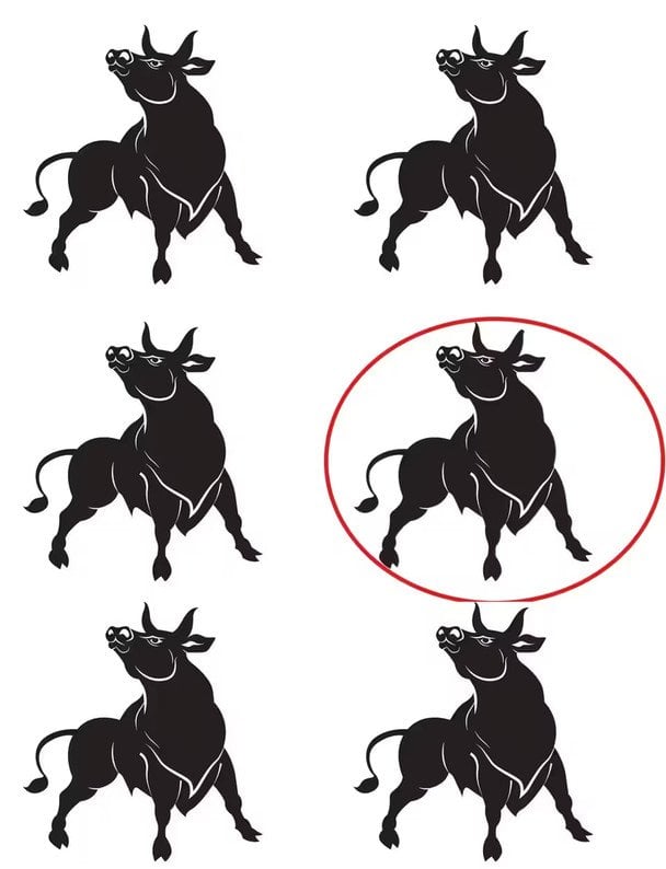 Цікава головоломка на уважність - розгадка