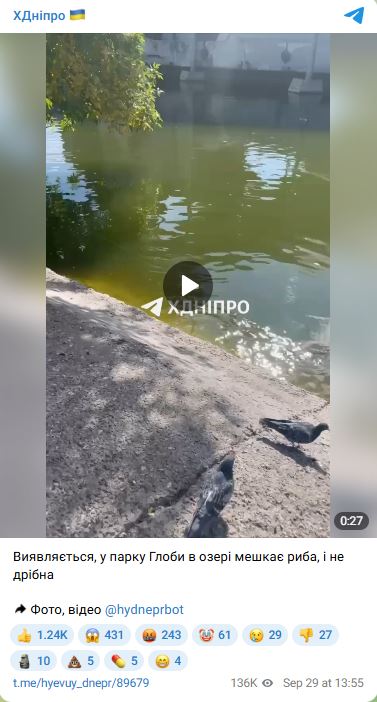 Хлопчик у Дніпрі спіймав коропа