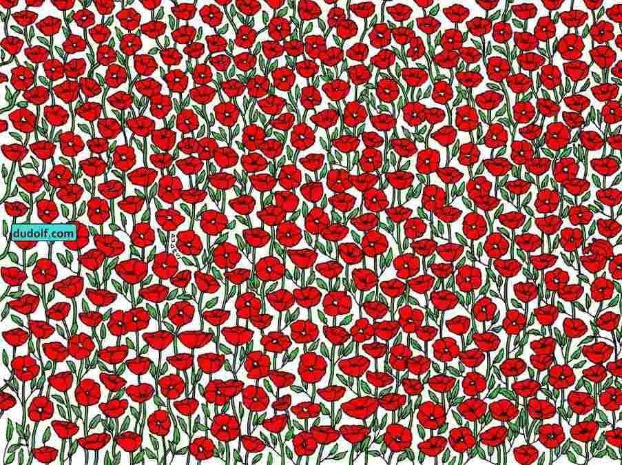 Головоломка